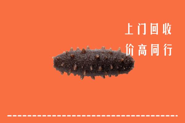 高价求购：九寨沟县回收海参